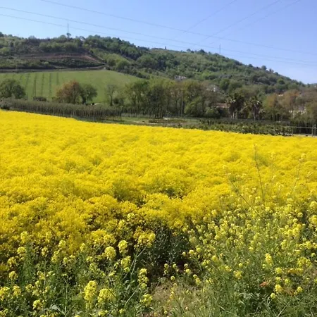 Il Filo Di Arianna Di Campagna בקתה *