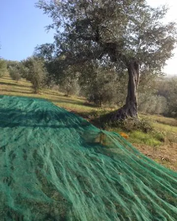 Il Filo Di Arianna Di Campagna *
