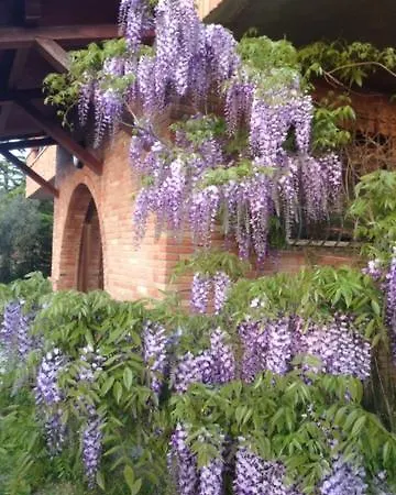 Il Filo Di Arianna Di Campagna * קולונלה