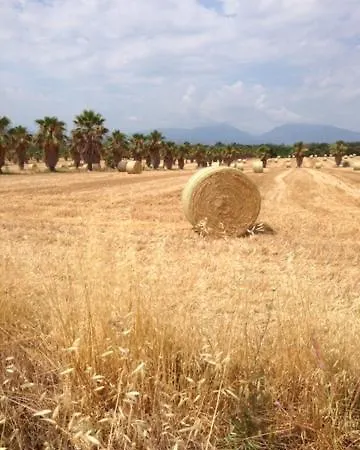 Il Filo Di Arianna Di Campagna בקתה