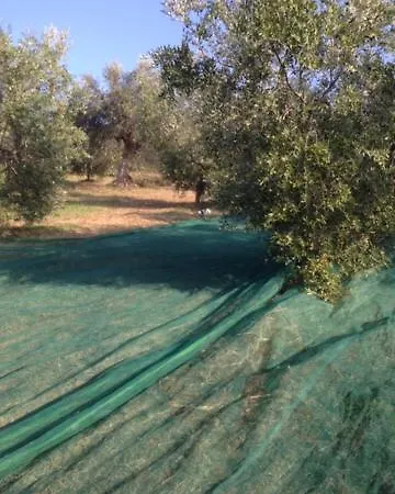 Il Filo Di Arianna Di Campagna בקתה