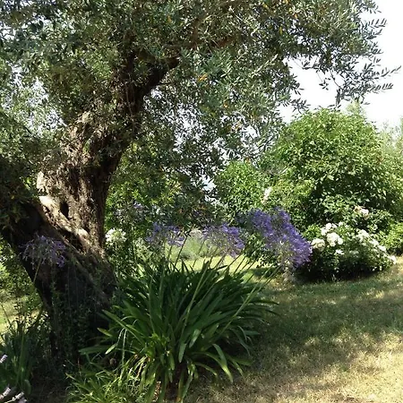 Il Filo Di Arianna Di Campagna בקתה