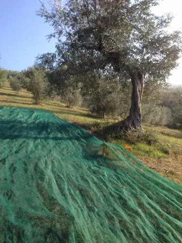 Il Filo Di Arianna Di Campagna *