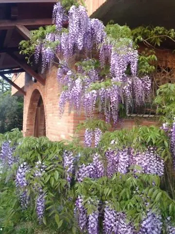 Il Filo Di Arianna Di Campagna * Colonnella