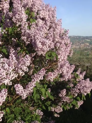 Il Filo Di Arianna Di Campagna Chalet *