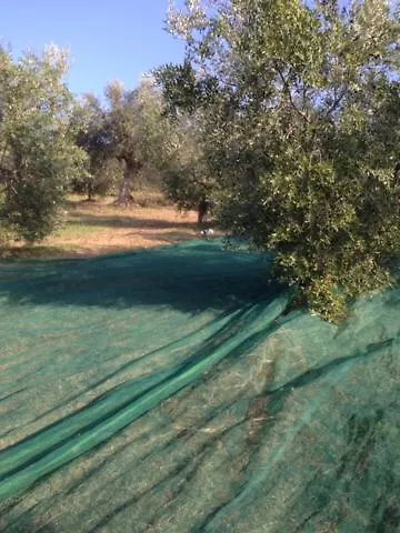 Il Filo Di Arianna Di Campagna Chalet