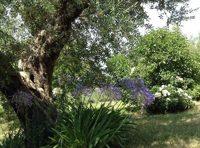 Il Filo Di Arianna Di Campagna Chalet